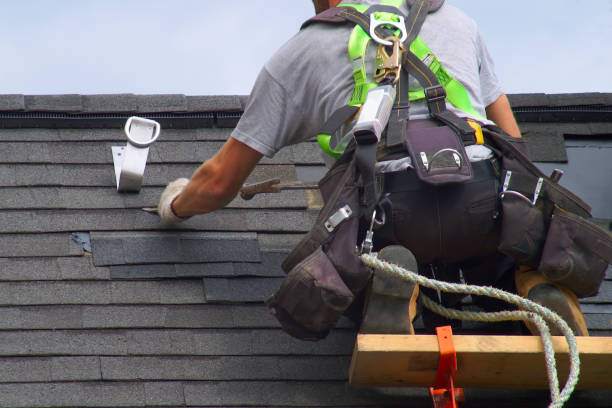 Best Roof Leak Repair  in Oceana, WV