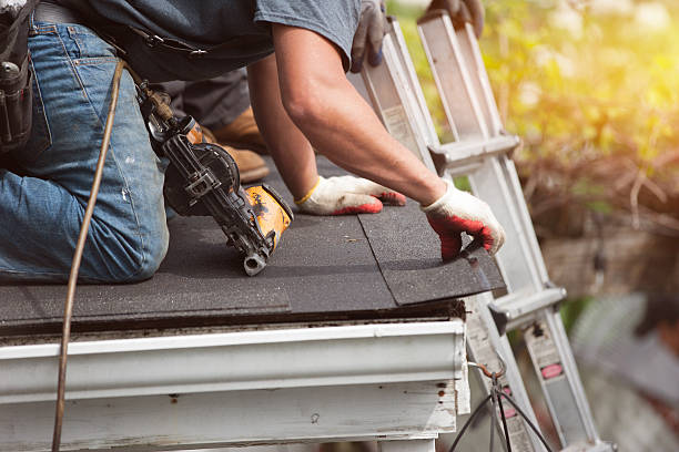Best Roof Leak Repair  in Oceana, WV