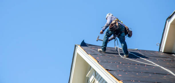 Best Roof Leak Repair  in Oceana, WV